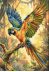 Main Bead Embroidery Kit Colorful Parrot