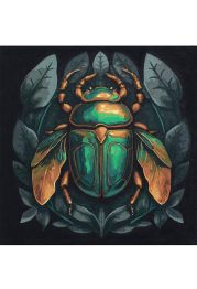 Paint by Numbers Emerald beetle