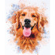Cross-stitch kits Friend