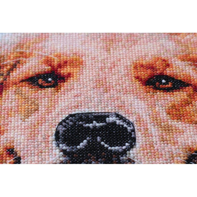 Cross-stitch kits Friend