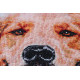 Cross-stitch kits Friend