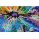 Main Bead Embroidery Kit Rainbow heart