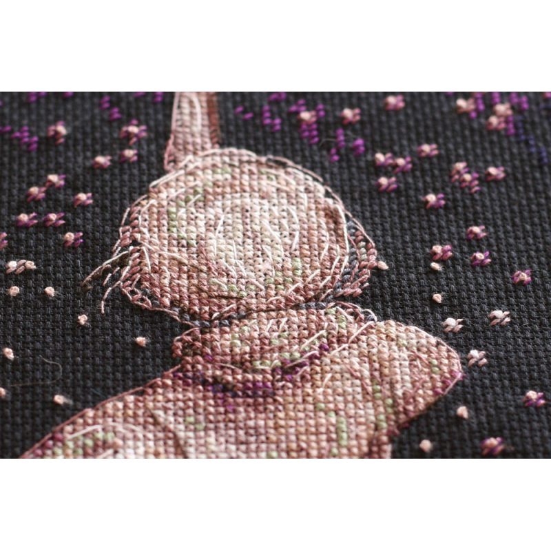 Cross-stitch kits Wish star