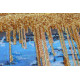 Main Bead Embroidery Kit Golden forest