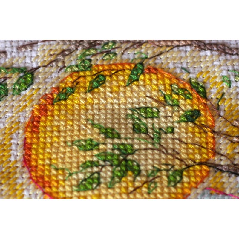 Cross-stitch kits Color magic