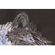 Cross-stitch kits wolf