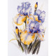Cross-stitch kits Irises