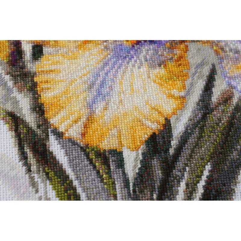 Cross-stitch kits Irises