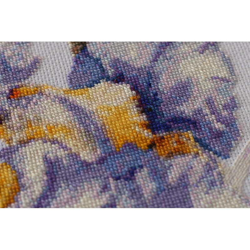 Cross-stitch kits Irises