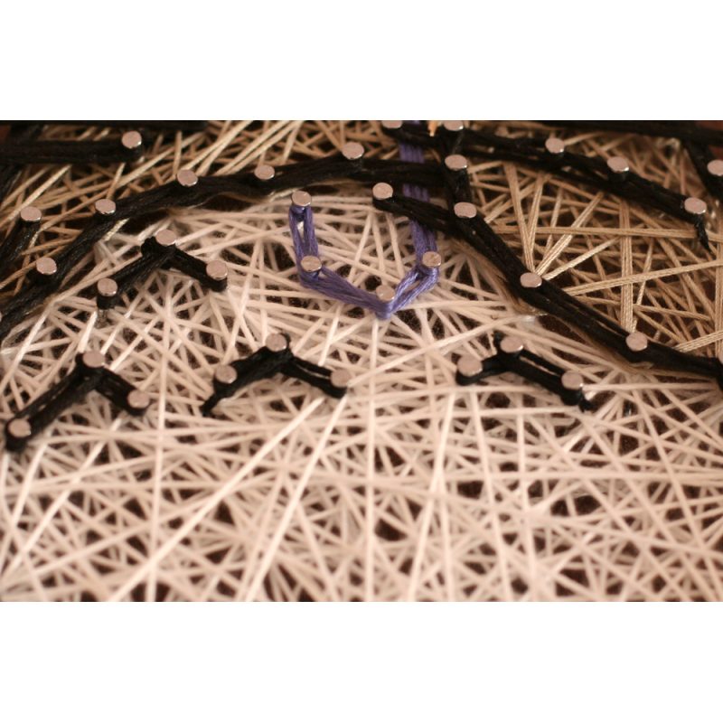 Creative Kit/String Art Totoro