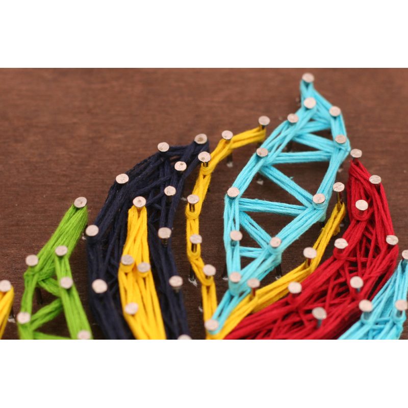 Creative Kit/String Art Multicolored feather