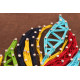Creative Kit/String Art Multicolored feather