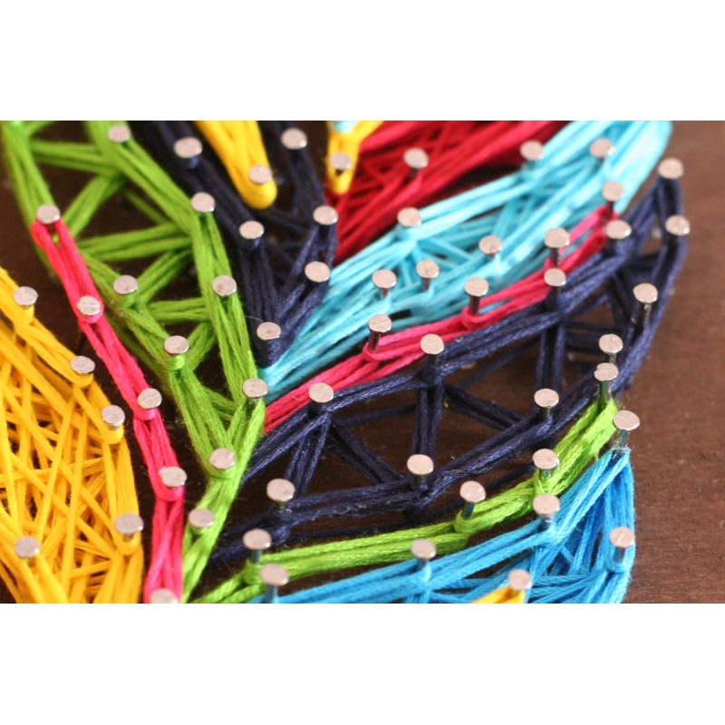 Creative Kit/String Art Multicolored feather