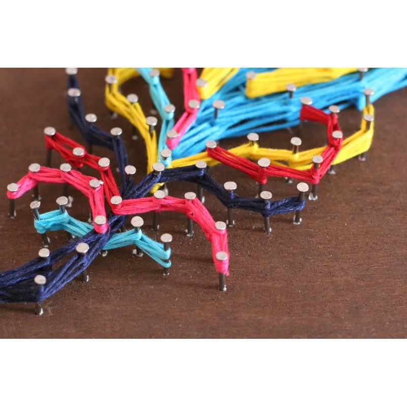 Creative Kit/String Art Multicolored feather
