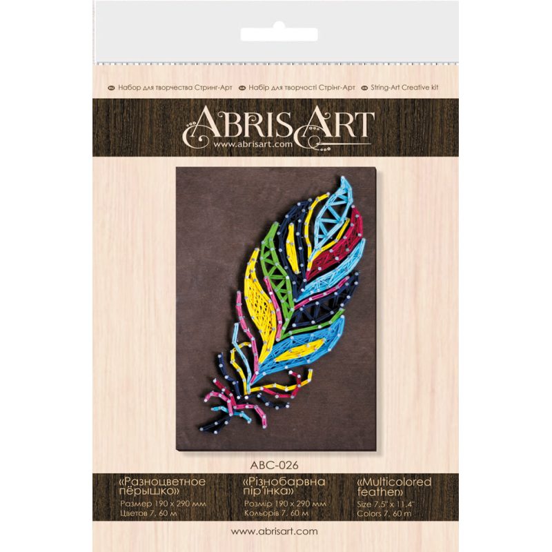 Creative Kit/String Art Multicolored feather
