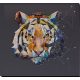 Main Bead Embroidery Kit Constellation Tiger