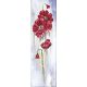 Main Bead Embroidery Kit Poppy flower