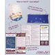 Main Bead Embroidery Kit Christmas motif