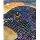 Main Bead Embroidery Kit Black raven