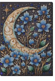 Main Bead Embroidery Kit A magical night