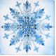 Main Bead Embroidery Kit Frost patterns