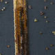 Main Bead Embroidery Kit Power talisman