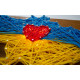 Creative Kit/String Art My home