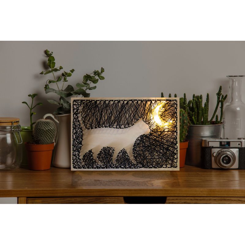 Creative Kit/String Art Night walk
