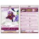 Decoration Amethyst iris