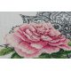 Cross Stitch Kit "Lace peonies"