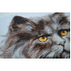 Cross-stitch kits Keeper of the Twilight