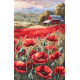 Cross-stitch kits Poppies at sunset