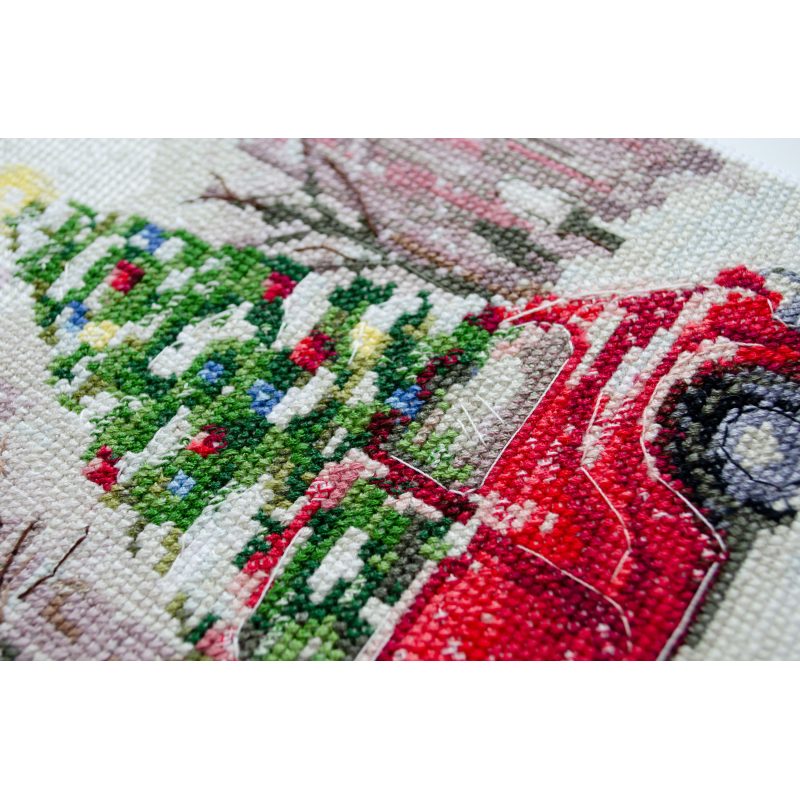 Cross-stitch kits We are going to celebrate