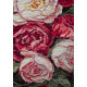 Cross-stitch kits Velvet feelings