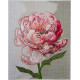 Cross-stitch kits Graceful beauty