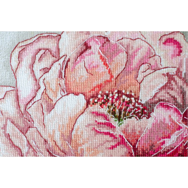 Cross-stitch kits Graceful beauty