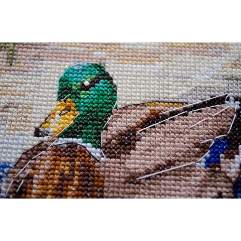 Cross-stitch kits Evening swim