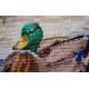 Cross-stitch kits Evening swim