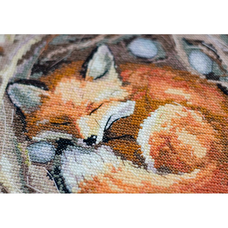 Cross-stitch kits Protector of a foreign home