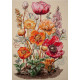 Cross-stitch kits Meadow`s Whisper