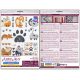 Cross-stitch kits Meow-meow