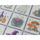 Cross-stitch kits Witchcraft for Beginners