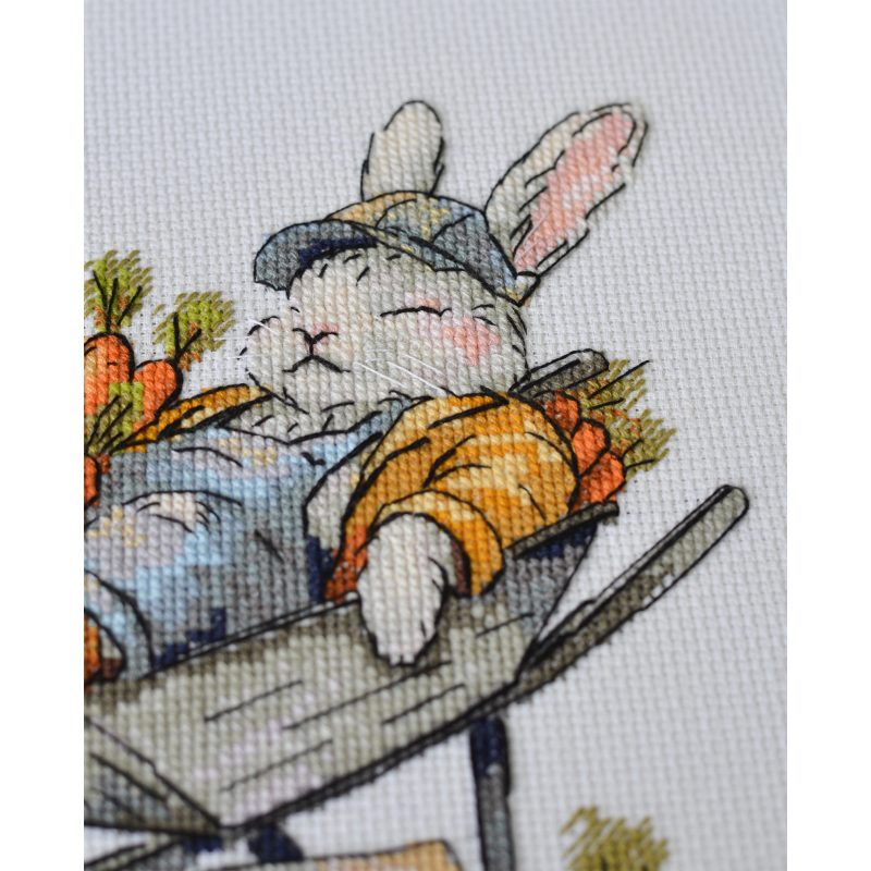 Cross-stitch kits Free carrots