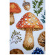 Cross-stitch kits Forest collection