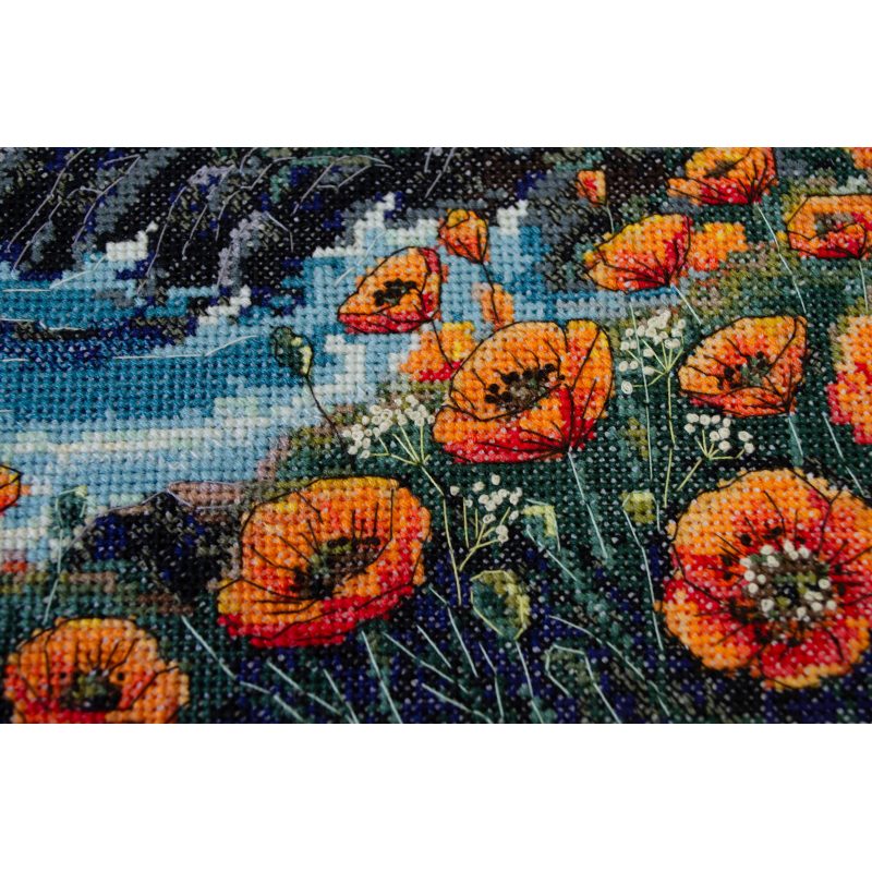 Cross-stitch kits Silence has color