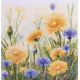 Cross-stitch kits Whispering Grass