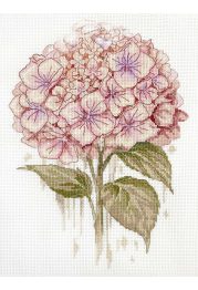 Cross-stitch kits A Fragile Bloom