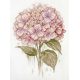 Cross-stitch kits A Fragile Bloom