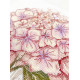 Cross-stitch kits A Fragile Bloom