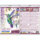 Cross-stitch kits The flight of the hummingbird